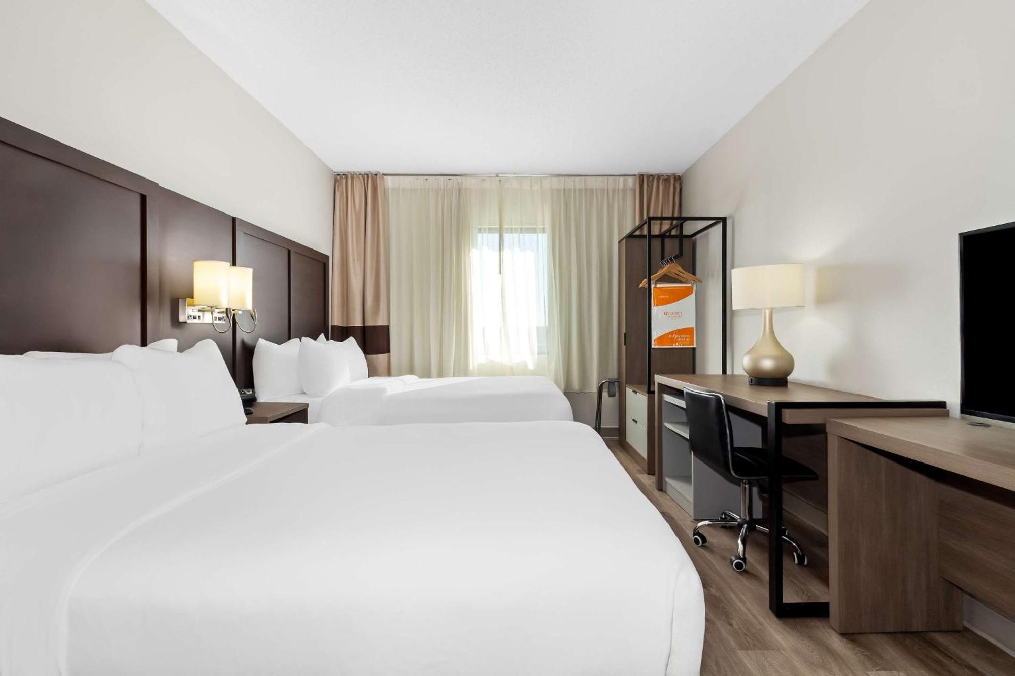 Comfort Suites Ламбертон Екстер'єр фото